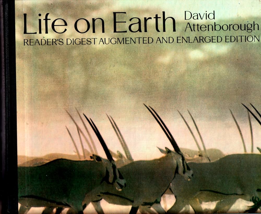 洋書 Life on Earth Your Life on Earth: A Record Book for New Humans Your Life